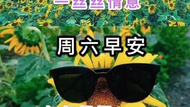 精选新版早安朋友圈问候语大汇总57条