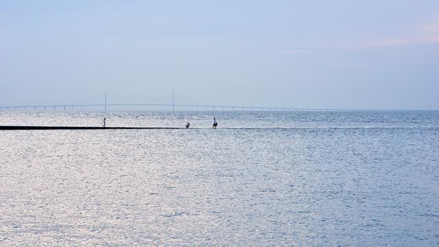 谈谈如何“排除合理怀疑”