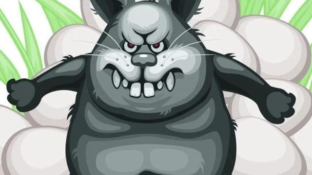 老虎和兔子作文