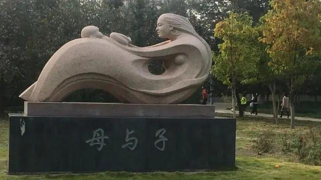 假如我会变身作文（精选）