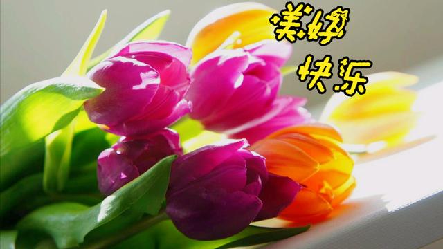 描写鲜花盛开的比喻句