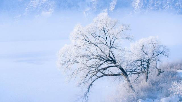 咏雪的诗词大全