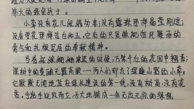 顽强的小草作文300字