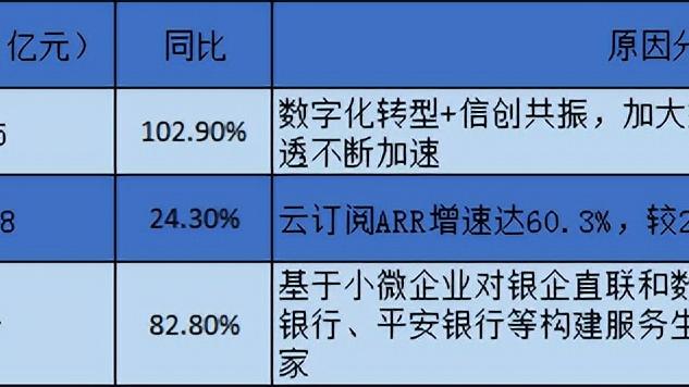 章勇:金蝶的阳光副总