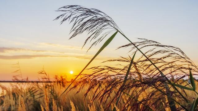 高中毕业证丢了怎么查毕业证编号查询