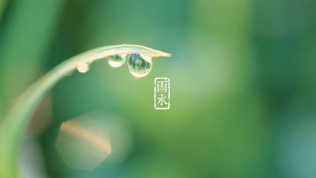 赞美春雨的古诗句有哪些