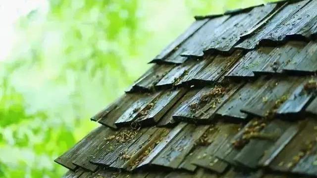 关于三年级的声音的作文合集九篇