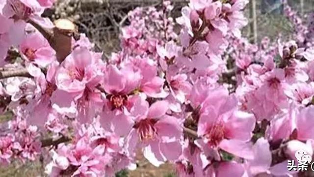 教师德育工作心得体会