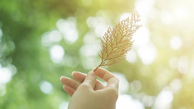 劝孩子珍惜光阴的诗句