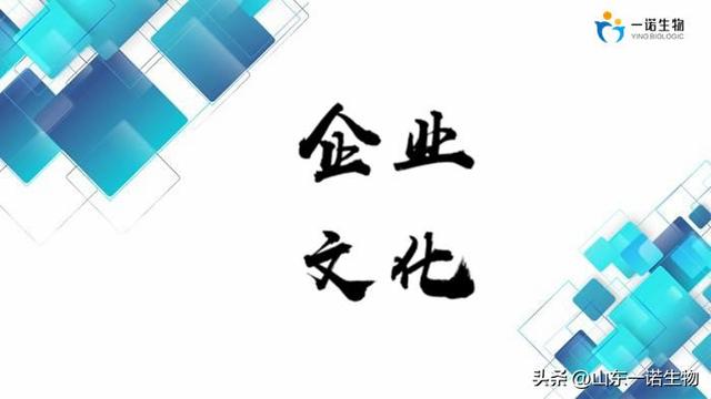 入企培训心得（精选）
