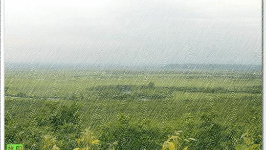 夏天下雨的优美句子