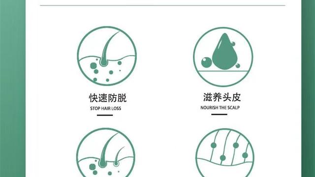 中学第一学期教学计划