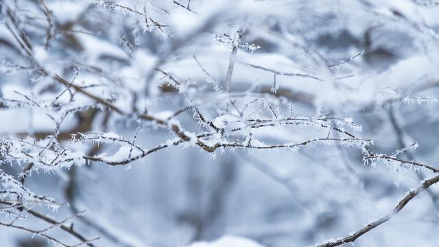 描写雪景的片段摘抄