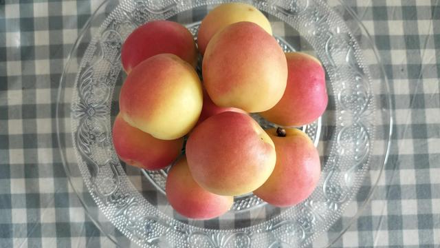 妈妈照顾生病的我作文范文