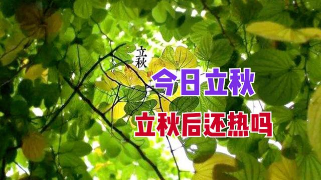 关于立秋的谚语歌谣