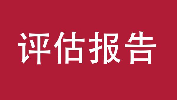 无形资产的评估报告