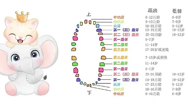 成长的烦恼记叙文作文