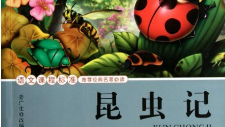 《蝉的音乐》阅读答案