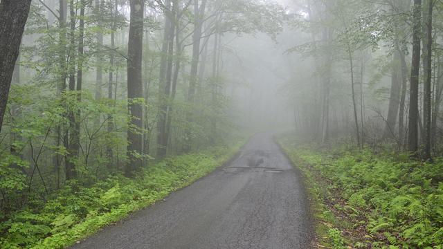 描写下雨的意境句子