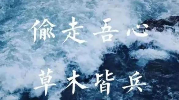 草木皆兵成语典故