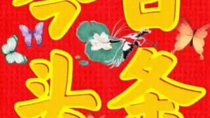 诗词大赛作文600字