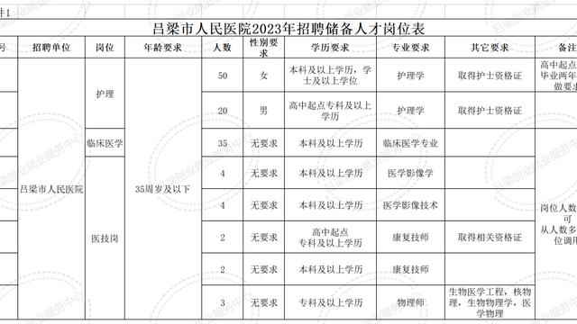 医院人才工作计划10篇