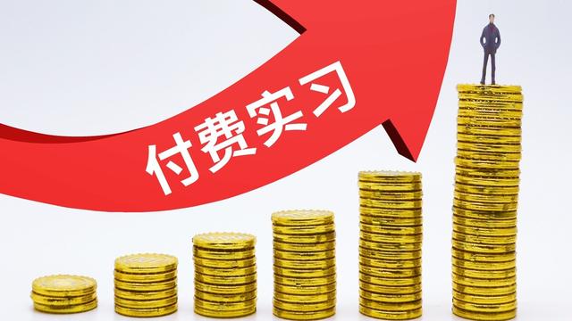 大学毕业实习日记