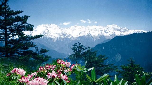 成都西岭雪山旅游攻略8月份