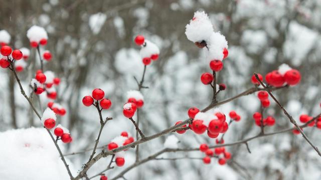 形容大雪纷飞唯美的句子