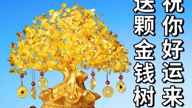 通用祝好心情的早安问候语语录摘录