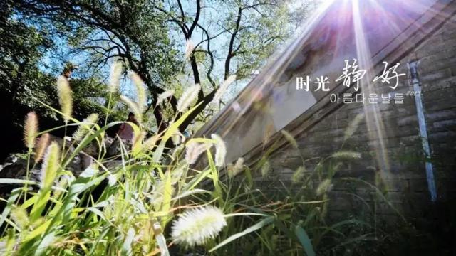 【推荐】幸福唯美的句子30条