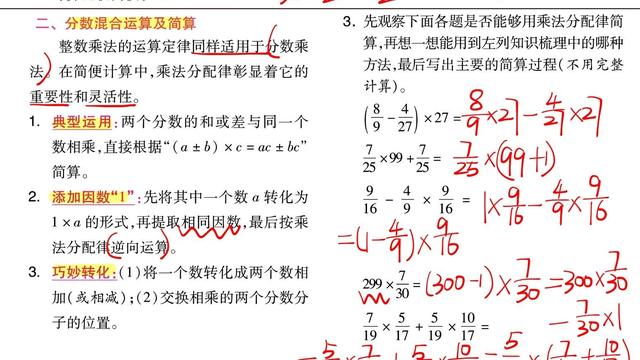 小学数学知识点分数的复习资料