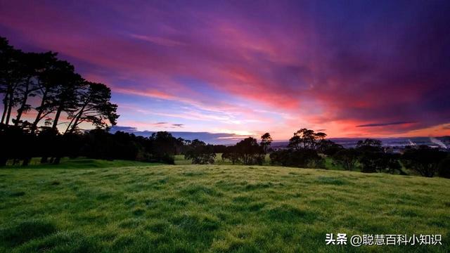 梦见交谈谈话的征兆是什么
