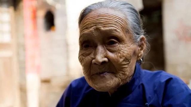 老人与狗作文悲伤