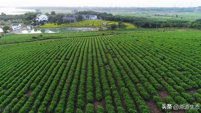 家庭农场管理制度范本精选