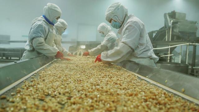 食品生物技术论文范文精选