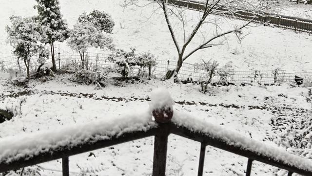 精选下雪日记集锦七篇