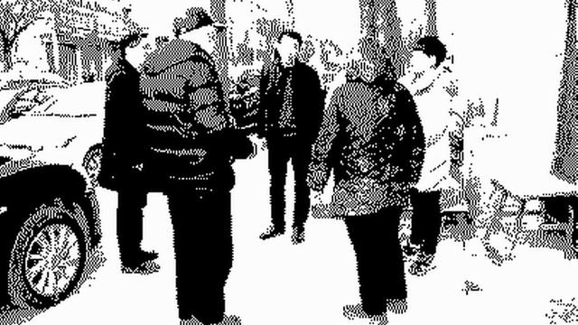 团拜会活动方案