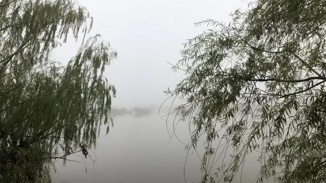 早上下雨发朋友圈的句子