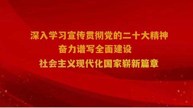 财务专业实习心得体会范文