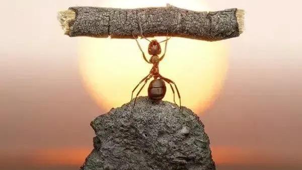 语文，让我欢喜让我忧作文