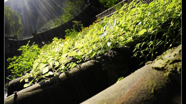 天津市房产买卖中介合同精选