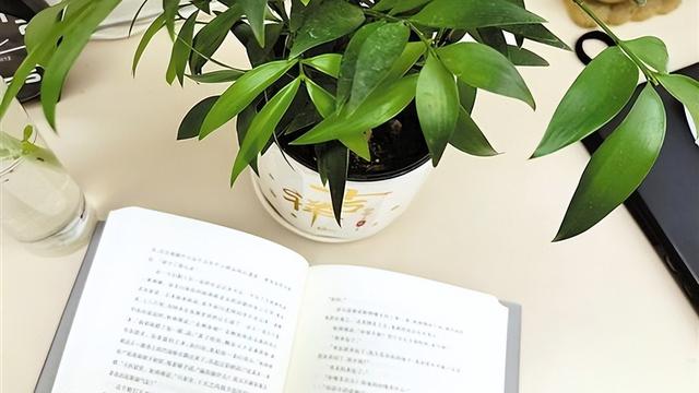 学为中心的课堂操作系统的构建及其实施策略