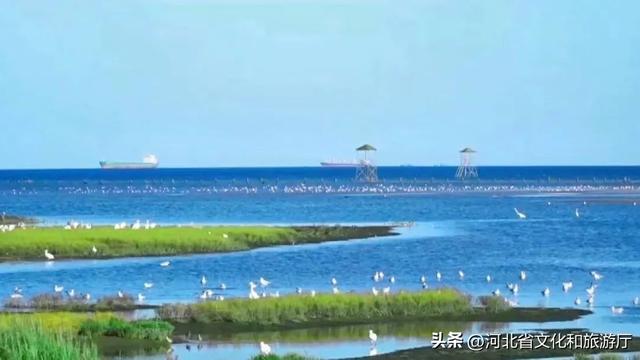 北戴河旅游攻略大全
