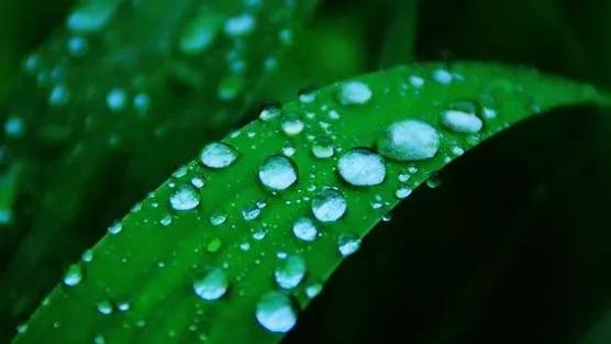 又是一个下雨天说说随笔汇总