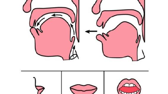 最新普通话声母音字词绕口令训练法则