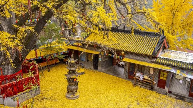 一场秋雨一场寒感慨句子精选