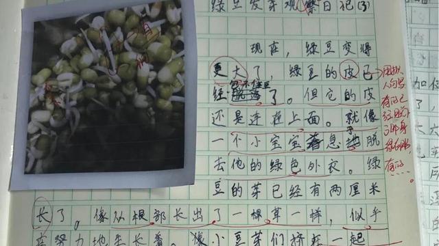 实用的四年级日记