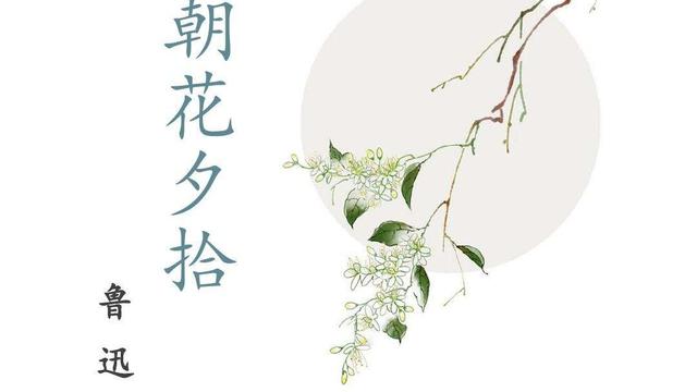 有关昆虫记读书笔记范例