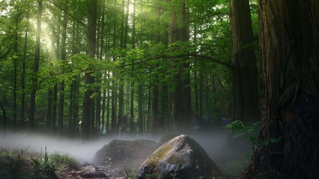 《行香子三山作》 古诗全诗赏析